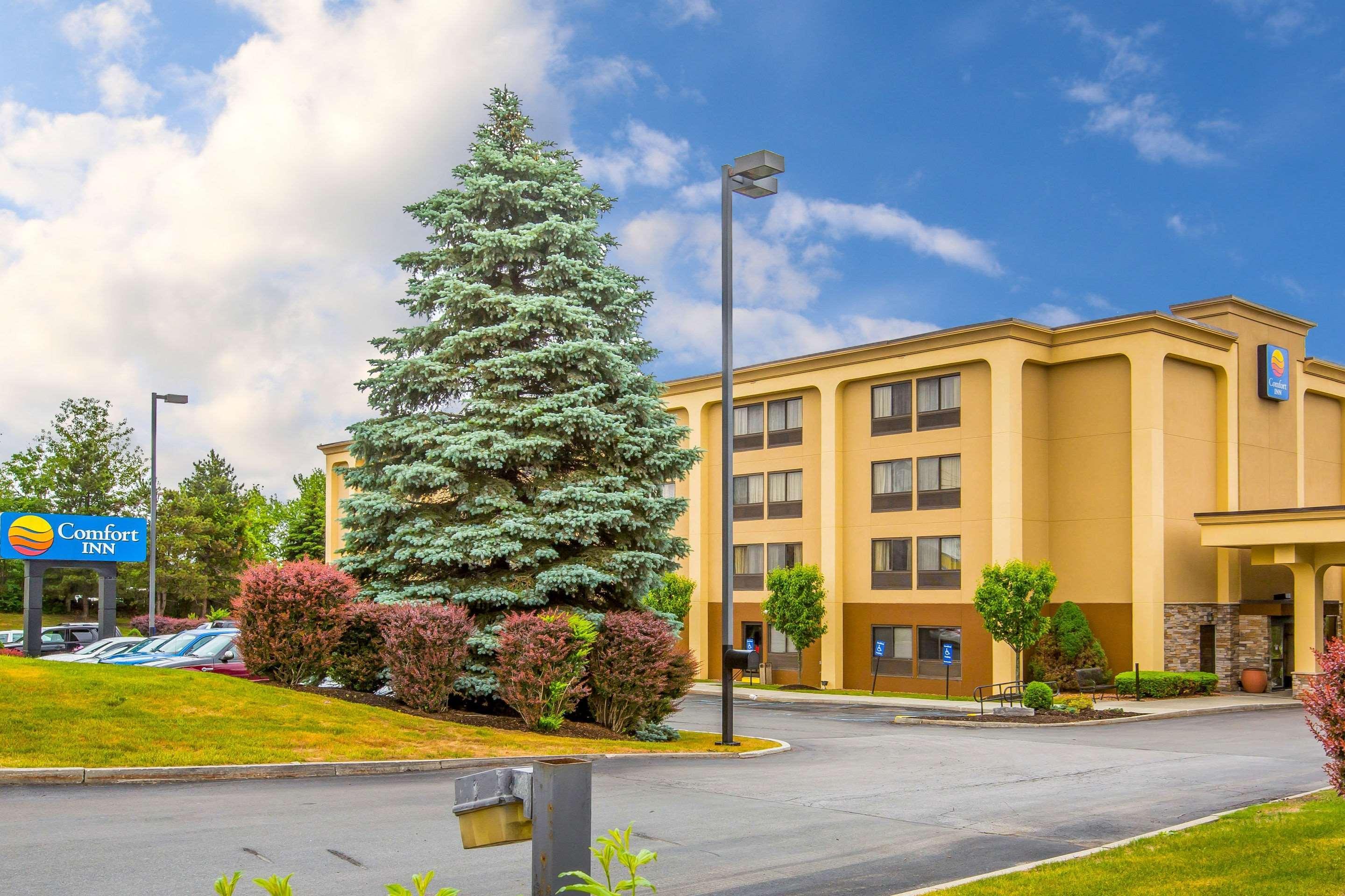 Comfort Inn Latham/Albany North Exterior photo